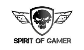 Spirit of gamer